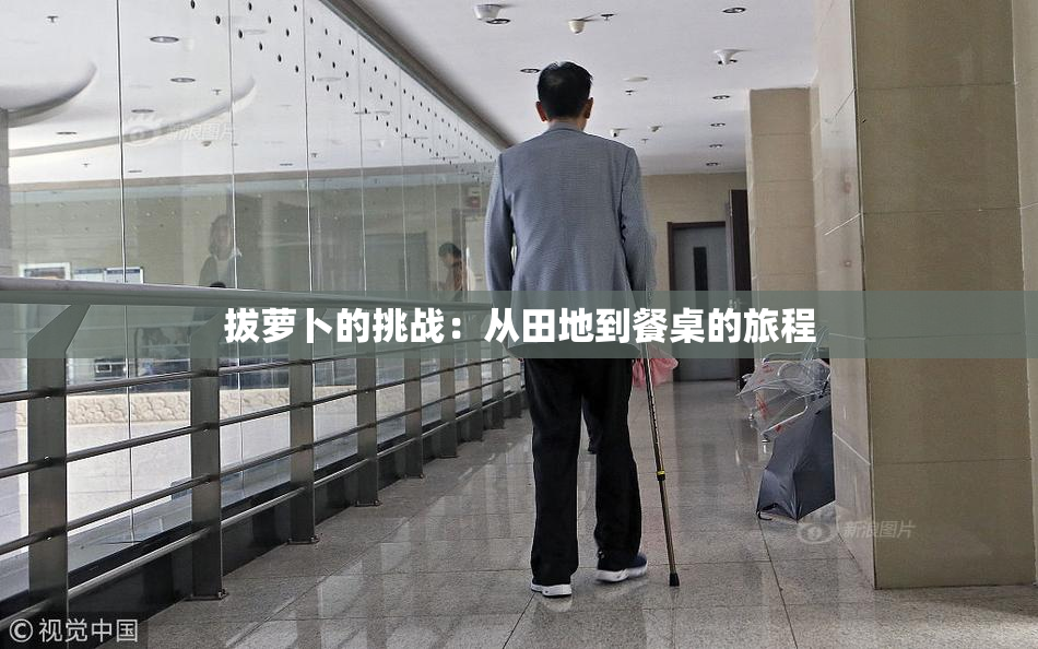 拔萝卜的挑战：从田地到餐桌的旅程