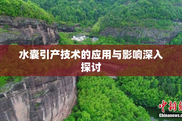 水囊引产技术的应用与影响深入探讨