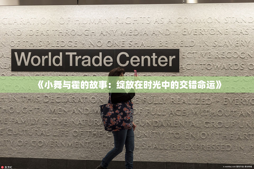 《小舞与霍的故事：绽放在时光中的交错命运》