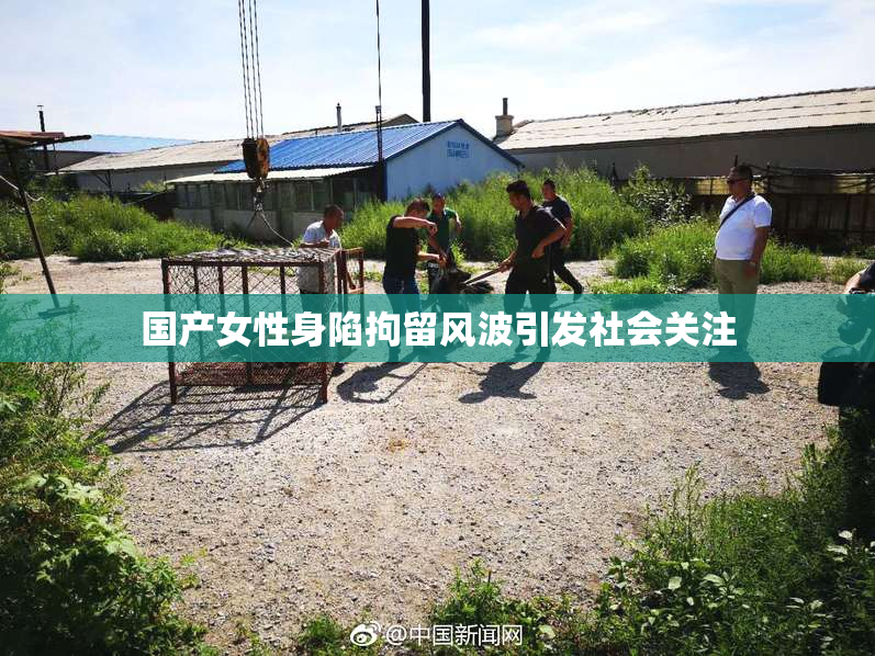 国产女性身陷拘留风波引发社会关注