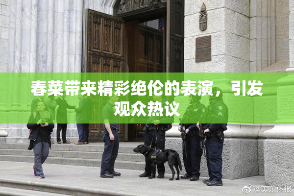 春菜带来精彩绝伦的表演，引发观众热议