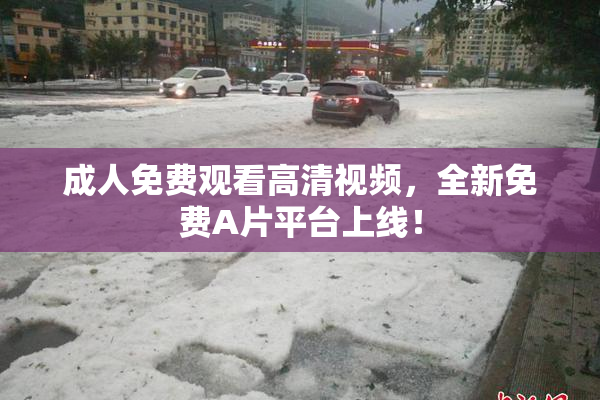 成人免费观看高清视频，全新免费A片平台上线！