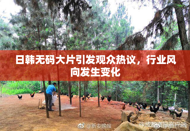 日韩无码大片引发观众热议，行业风向发生变化
