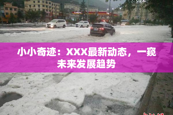 小小奇迹：XXX最新动态，一窥未来发展趋势