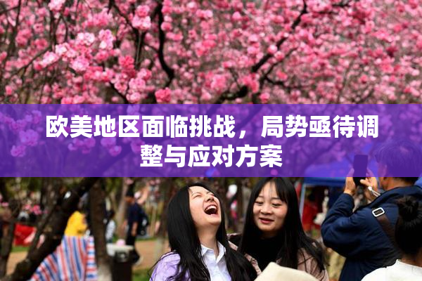 欧美地区面临挑战，局势亟待调整与应对方案