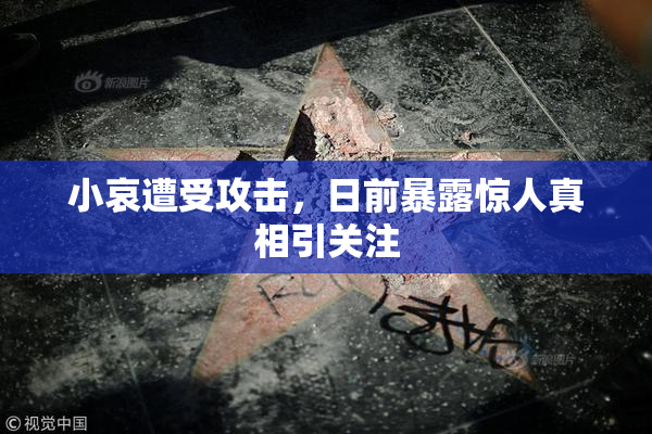 小哀遭受攻击，日前暴露惊人真相引关注
