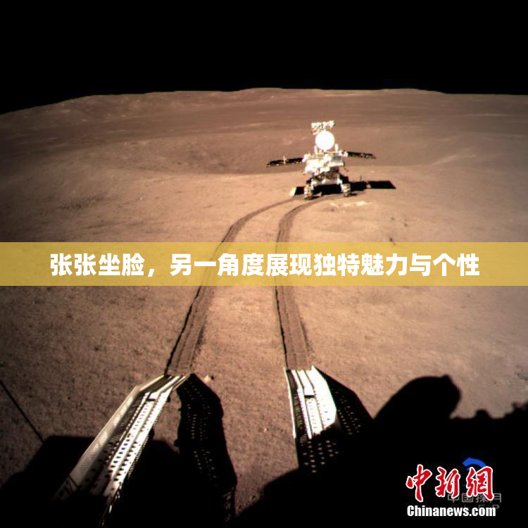 张张坐脸，另一角度展现独特魅力与个性