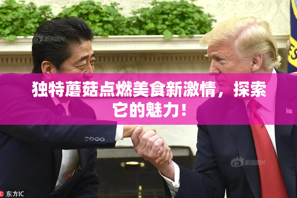 独特蘑菇点燃美食新激情，探索它的魅力！