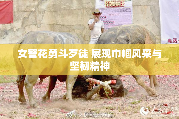 女警花勇斗歹徒 展现巾帼风采与坚韧精神