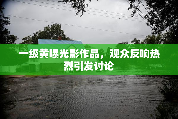 一级黄曝光影作品，观众反响热烈引发讨论
