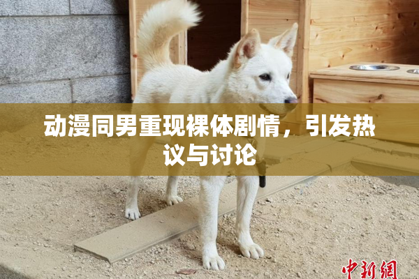 动漫同男重现裸体剧情，引发热议与讨论