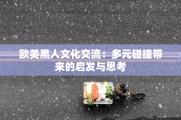 欧美黑人文化交流：多元碰撞带来的启发与思考
