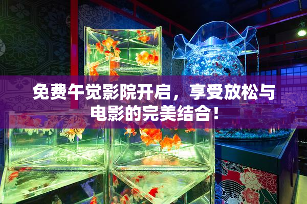 免费午觉影院开启，享受放松与电影的完美结合！