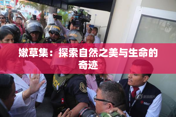 嫩草集：探索自然之美与生命的奇迹