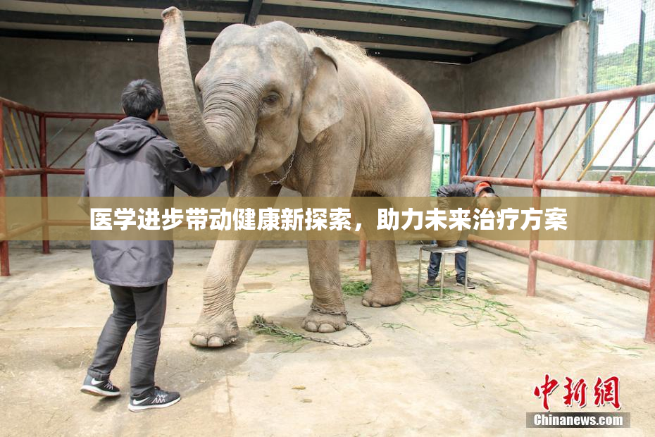 医学进步带动健康新探索，助力未来治疗方案