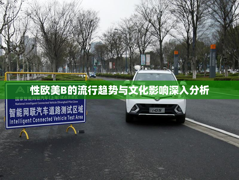 性欧美B的流行趋势与文化影响深入分析