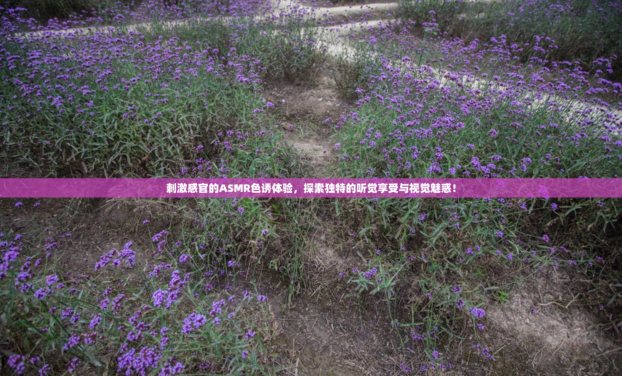 刺激感官的ASMR色诱体验，探索独特的听觉享受与视觉魅惑！
