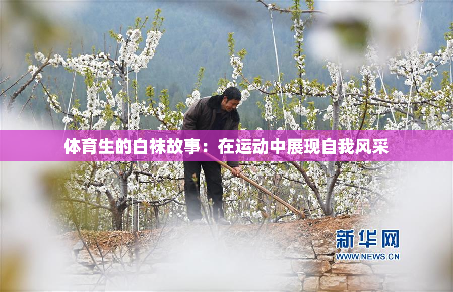 体育生的白袜故事：在运动中展现自我风采