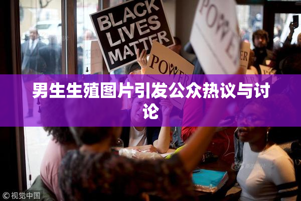 男生生殖图片引发公众热议与讨论