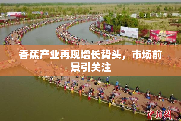 香蕉产业再现增长势头，市场前景引关注