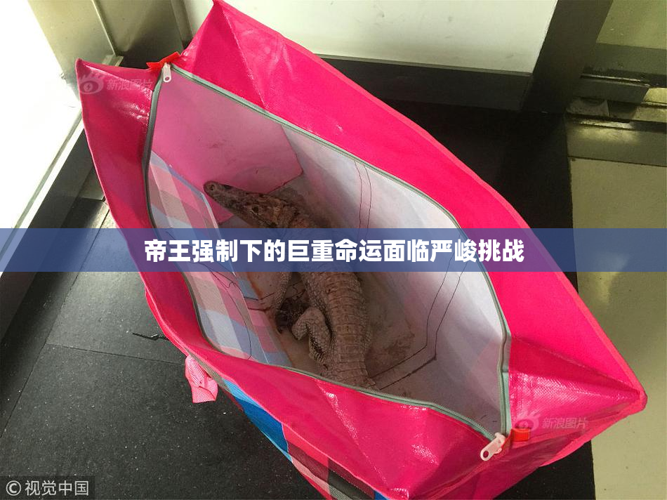 帝王强制下的巨重命运面临严峻挑战