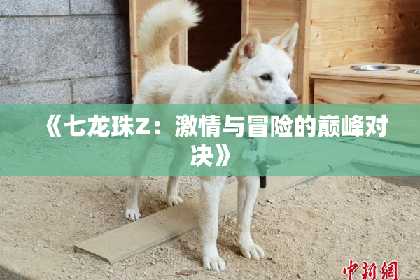 《七龙珠Z：激情与冒险的巅峰对决》
