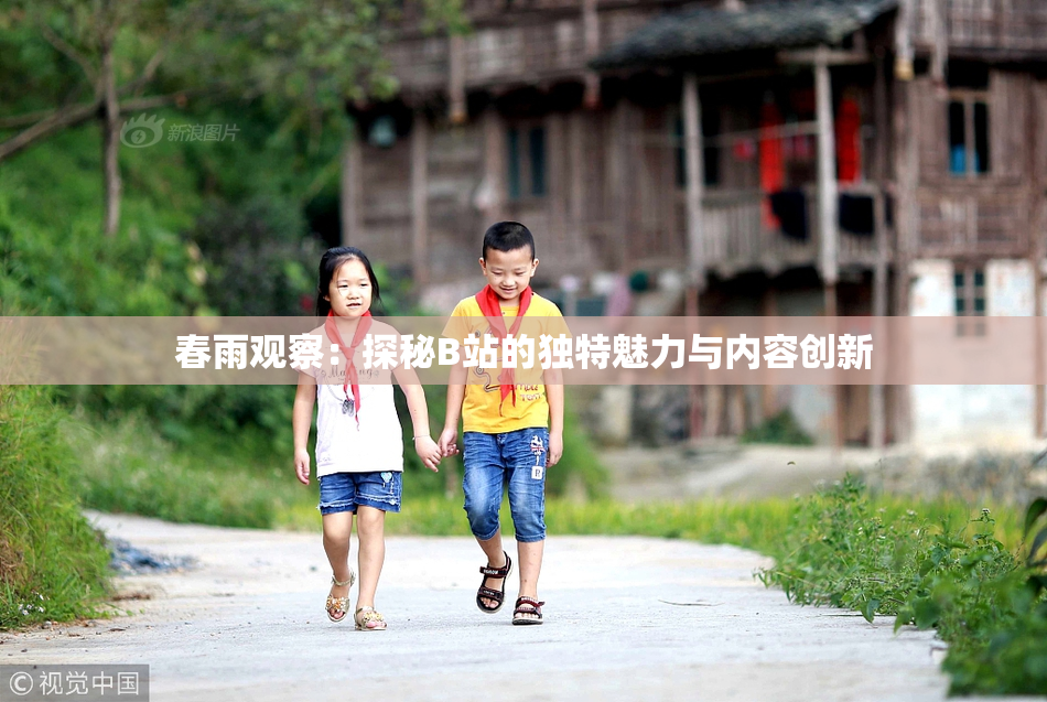 春雨观察：探秘B站的独特魅力与内容创新