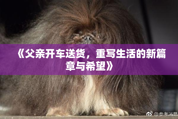 《父亲开车送货，重写生活的新篇章与希望》