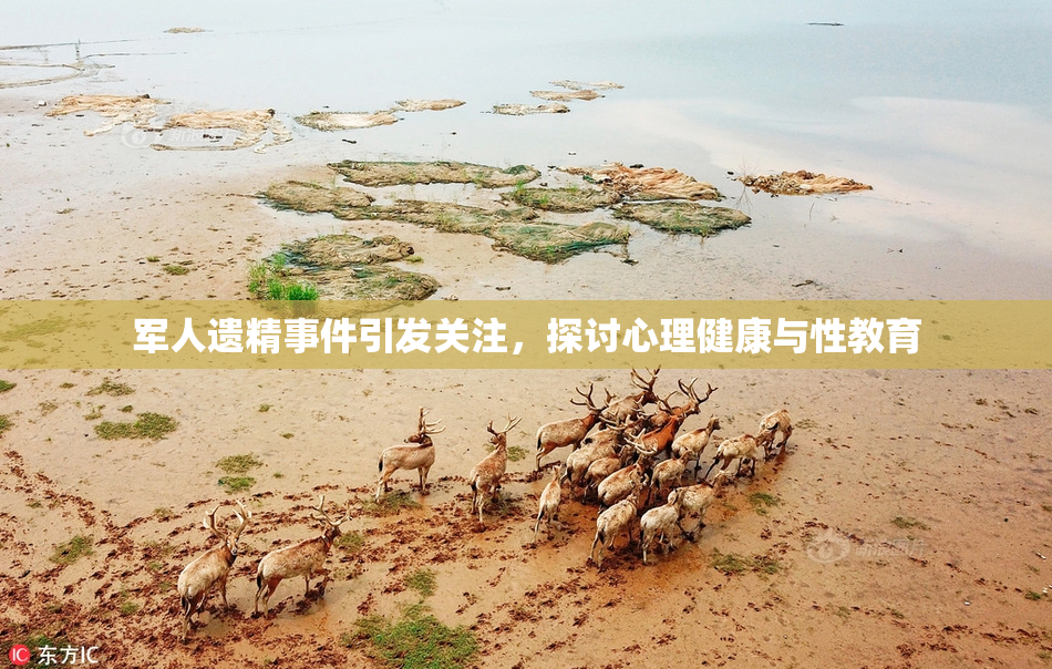 军人遗精事件引发关注，探讨心理健康与性教育