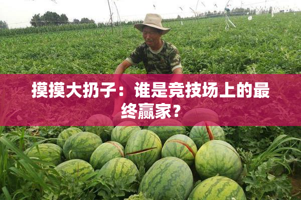 摸摸大扔子：谁是竞技场上的最终赢家？