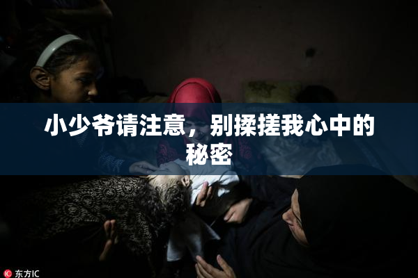 小少爷请注意，别揉搓我心中的秘密