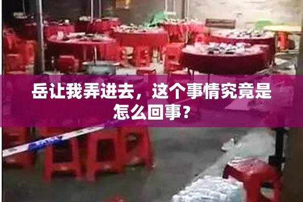 岳让我弄进去，这个事情究竟是怎么回事？