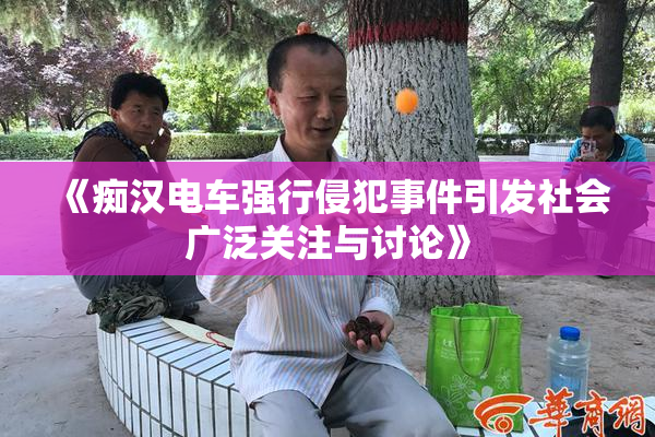 《痴汉电车强行侵犯事件引发社会广泛关注与讨论》
