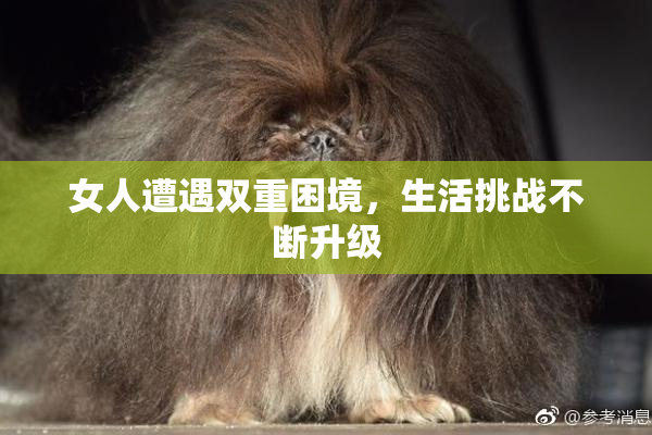 女人遭遇双重困境，生活挑战不断升级