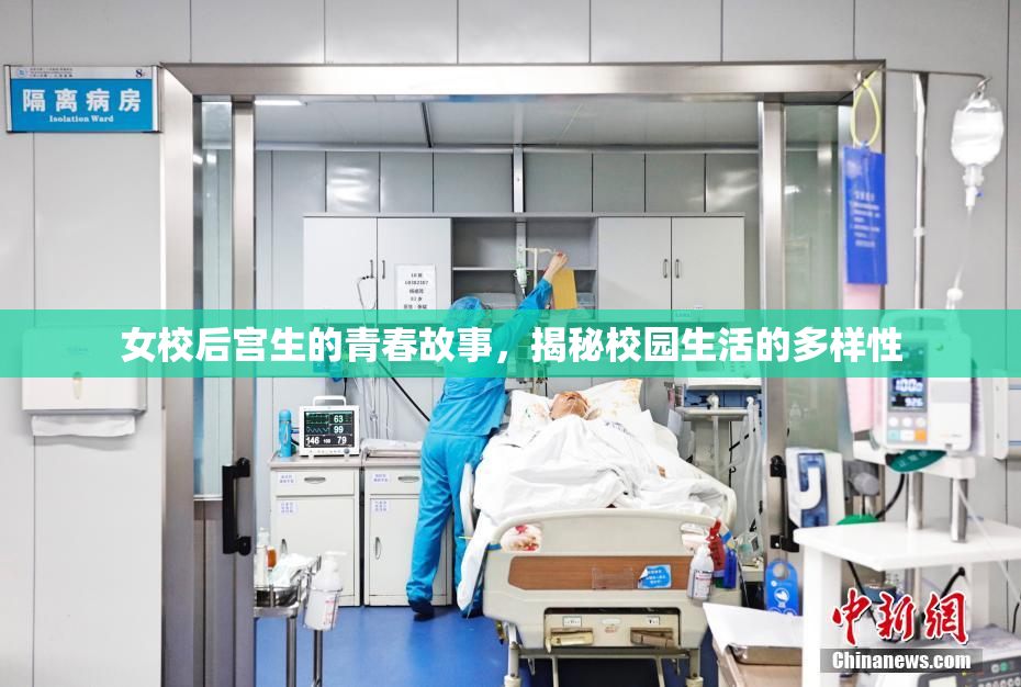 女校后宫生的青春故事，揭秘校园生活的多样性