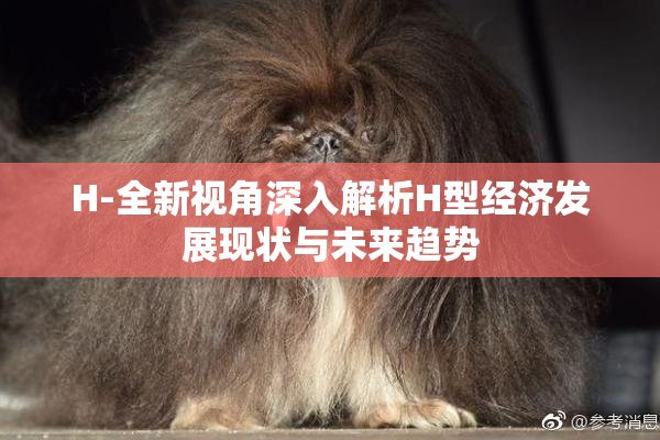 H-全新视角深入解析H型经济发展现状与未来趋势