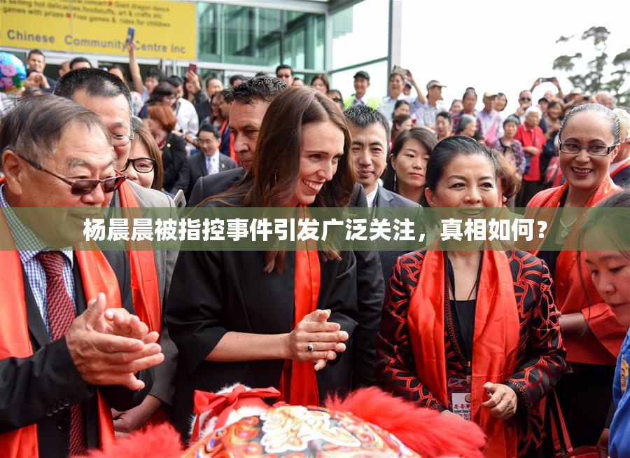 杨晨晨被指控事件引发广泛关注，真相如何？