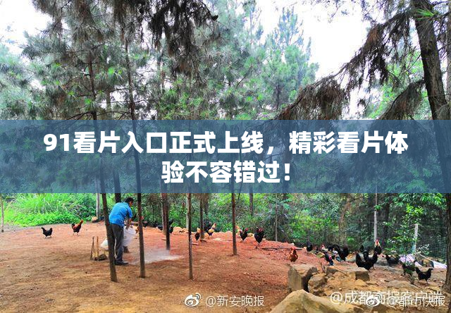91看片入口正式上线，精彩看片体验不容错过！