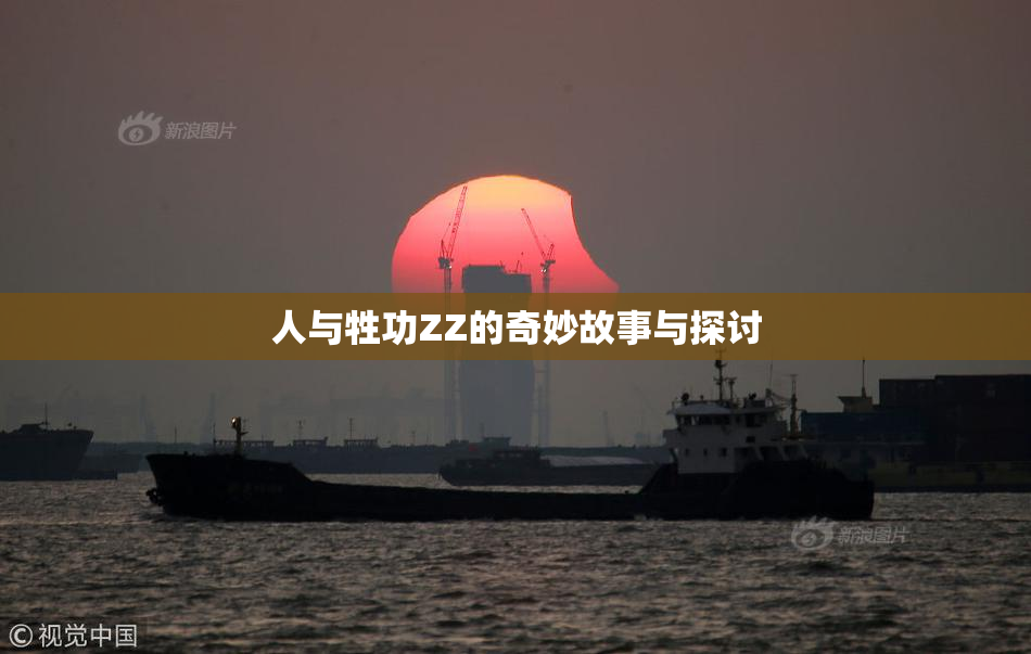 人与牲功ZZ的奇妙故事与探讨