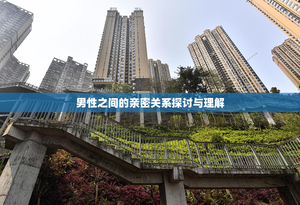 男性之间的亲密关系探讨与理解