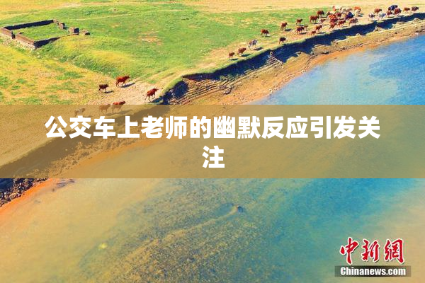 公交车上老师的幽默反应引发关注