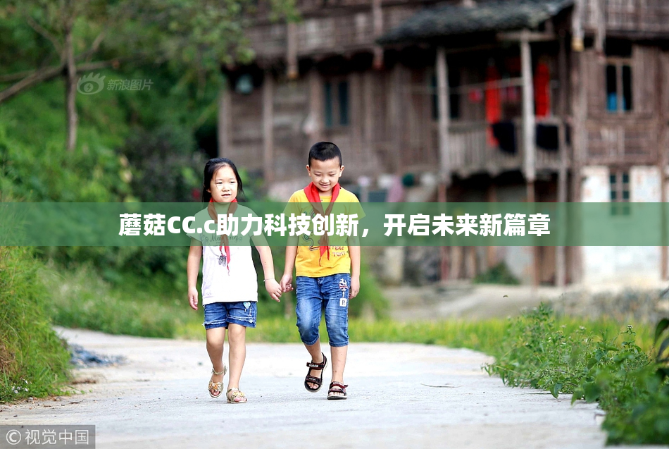 蘑菇CC.c助力科技创新，开启未来新篇章