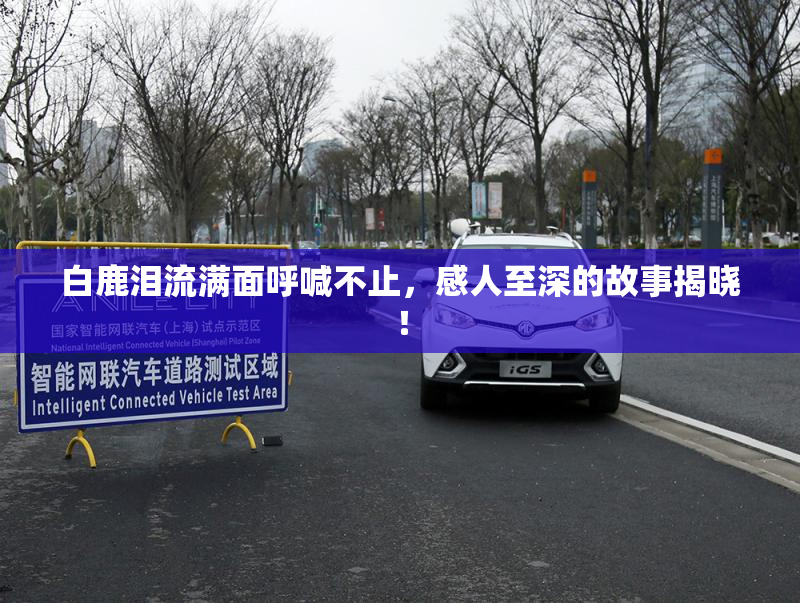 白鹿泪流满面呼喊不止，感人至深的故事揭晓！