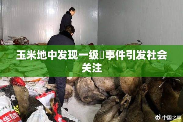 玉米地中发现一级婬事件引发社会关注