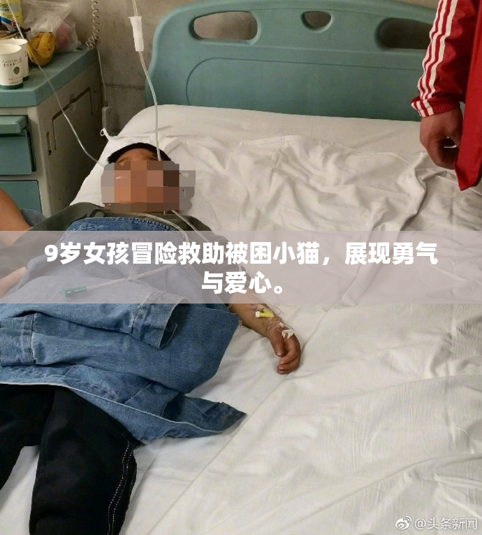 9岁女孩冒险救助被困小猫，展现勇气与爱心。