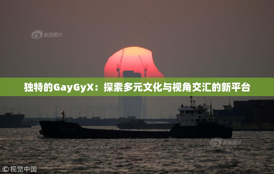 独特的GayGyX：探索多元文化与视角交汇的新平台