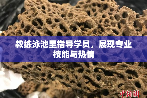 教练泳池里指导学员，展现专业技能与热情