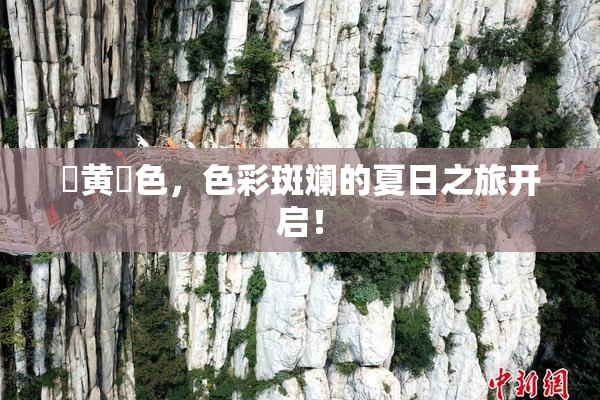 ✿黄✿色，色彩斑斓的夏日之旅开启！