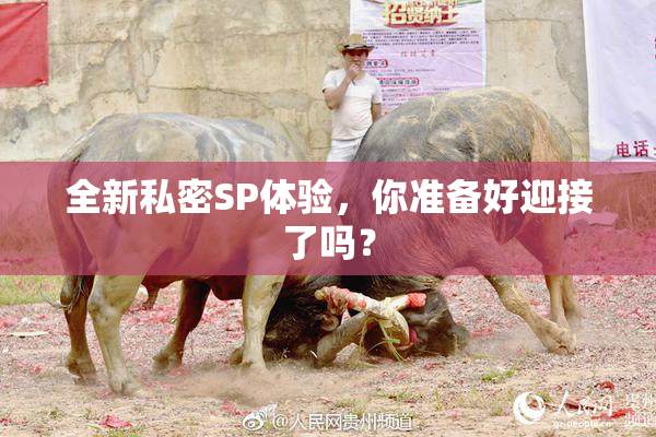 全新私密SP体验，你准备好迎接了吗？