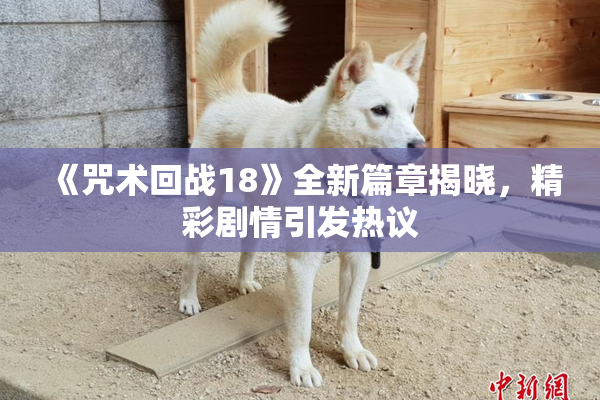 《咒术回战18》全新篇章揭晓，精彩剧情引发热议